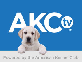 AKC.TV